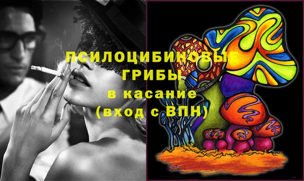 ГАЛЛЮЦИНОГЕННЫЕ ГРИБЫ Белоозёрский