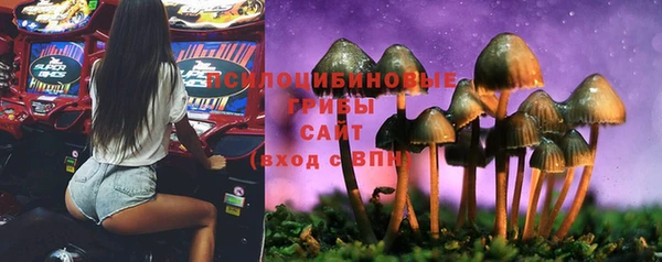 крисы Белокуриха