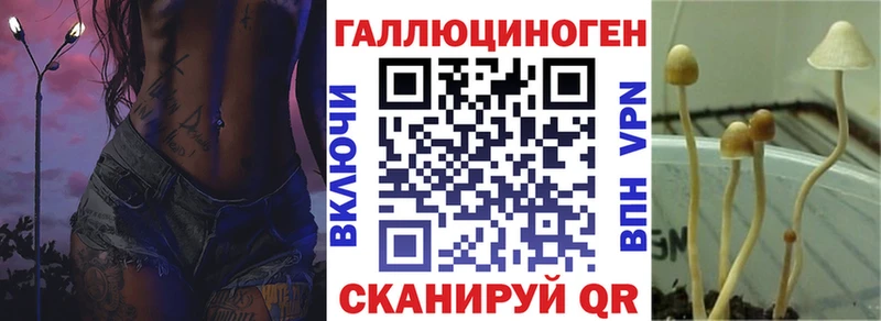 где можно купить Добрянка Псилоцибиновые грибы прущие грибы